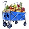 Outdoor Garden Multipurpose Micro Collapsible Beach Trolley Cart Camping Folding Wagon