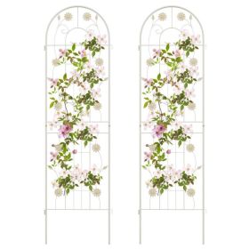 2 Pack 71 x 20 Inches Metal Garden Trellis Rustproof Plant Support for Climbing Plants