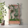 Raised Garden Bed with Trellies 2 Pack, Outdoor Wooden Planter Box & Plant Stand with Climbing Racks