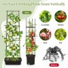 2 Pack Garden Planters with Trellis Cucumber Trellis Tomato Cage