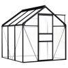 Greenhouse Anthracite Aluminum 38.9 ft¬≤