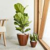 2-Pack 10 in.Dark Wood Plastic Self-watering Planter Pot