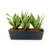 2-Pack Smart Self-watering Rectangle Planter for Indoor and Outdoor - Hand Woven Wicker - Espresso