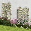 2 Pack 71 x 20 Inch Metal Garden Trellis for Climbing Plants