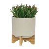 S/2 5/8" PLANTER W/ WOOD STAND, MATTE BEIGE