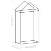 Greenhouse with Steel Frame 5.4 ft¬≤ 3.3'x1.6'x6.2'