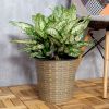 13.4" Self-watering Wicker Decor Planter for Indoor and Outdoor - Round - Natural