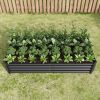 Raised Garden Bed Outdoor, 6√ó3√ó1ft , Metal Raised Rectangle Planter Beds for Plants, Vegetables, and Flowers - Black