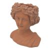 9x5.5x9.5" Brown Head Bust Planter, Greek Style Cement Head Planter - Indoor Outdoor Home Garden Decor