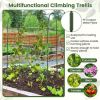 Self-watering Raised Garden Bed Elevated Planter with Climbing Trellis