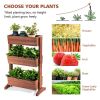 3-Tier Raised Garden Bed with Detachable Ladder and Adjustable Shelf