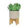 S/2 5/8" PLANTER W/ WOOD STAND, MATTE BEIGE