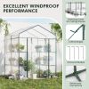 Walk-in Greenhouse with 4 Tiers 8 Shelves PVC Cover Roll-up Zippered Door