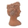 9x5.5x9.5" Brown Head Bust Planter, Greek Style Cement Head Planter - Indoor Outdoor Home Garden Decor