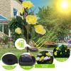 2Pcs Solar Powered Lights Outdoor Rose Flower LED Decorative Lamp Water Resistant Pathway Stake Lights