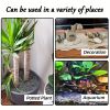 18lbs River Rock Stones: Ideal for Garden, Aquarium, Plants & Home Decor. Versatile, Durable